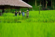 Laos - Descente du Mekong et villages de minorités - Balade dans les rizières du Kamu Lodge